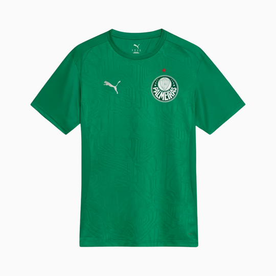 Camisa Palmeiras 2025 – Treino