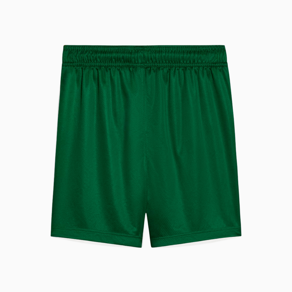 Shorts Palmeiras 2025 II – Torcedor
