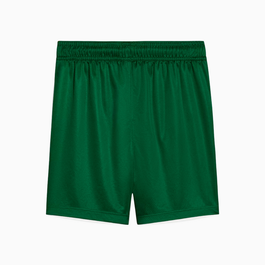 Shorts Palmeiras 2025 II – Torcedor