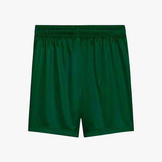 Conjunto Infantil Puma Palmeiras 2025/26 II