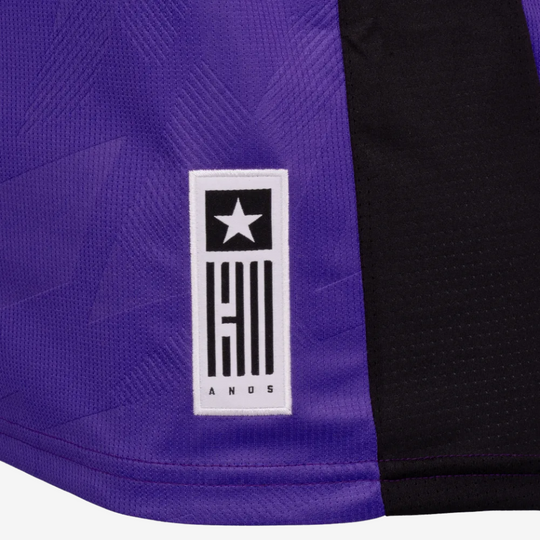 Camisa Goleiro Reebok Botafogo 2024/25 IV