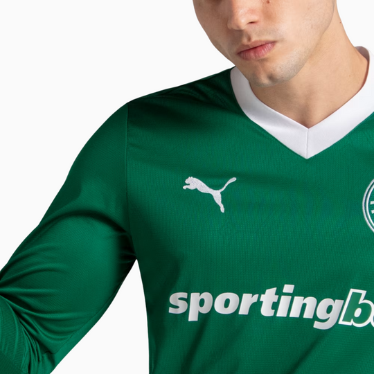Camisa Puma Palmeiras Manga Longa 2025/26 I Torcedor