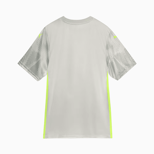 Camisa Goleiro Palmeiras 2025/26 III Jogador