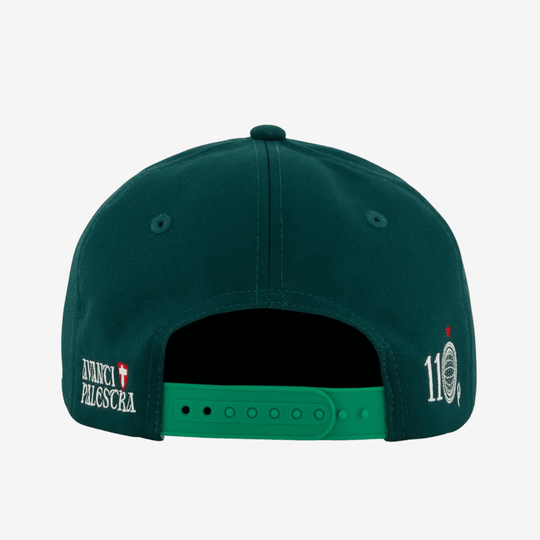 Boné Palmeiras Edição 110 Anos - Verde
