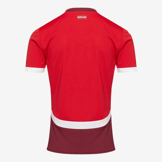 Camisa Puma Suiça 2024 I