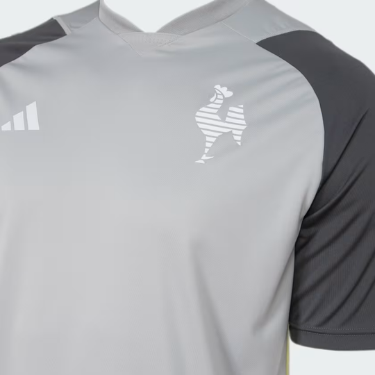 Camisa Adidas Atlético Mineiro Treino 2024