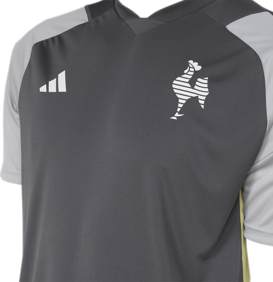 Camisa Adidas Atlético Mineiro Treino Comissão 24/25